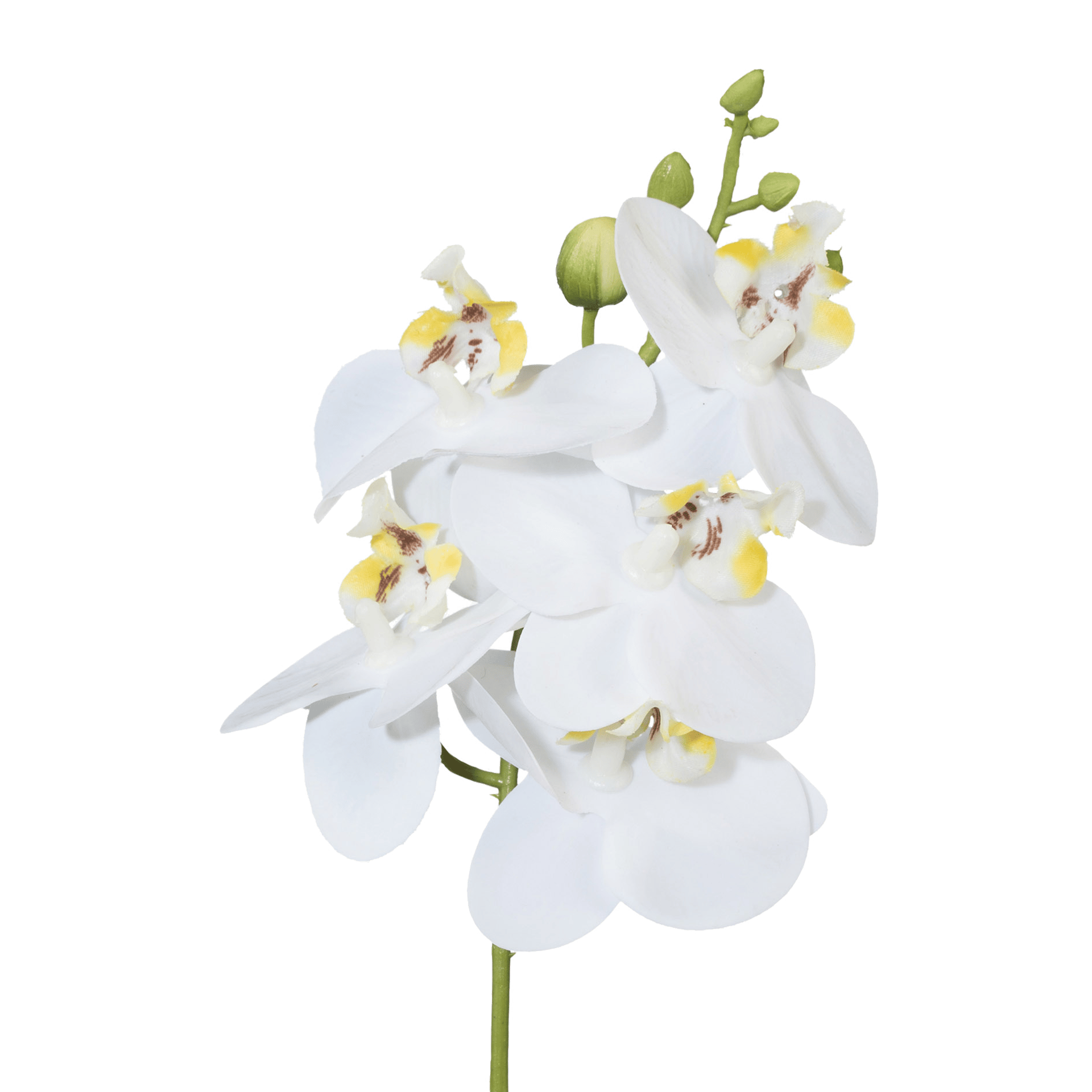 Kunstblume Phalaenopsis Weiß