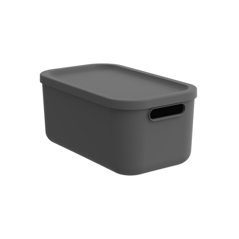 Rotho Box Albula
