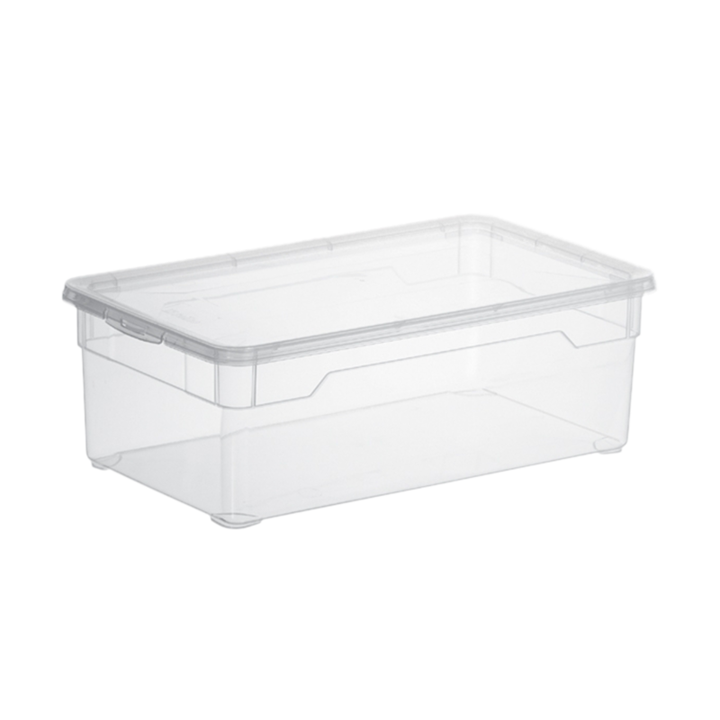 Rotho Box Clear Lady