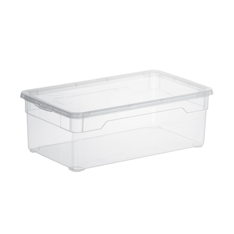 Rotho Box Clear Lady