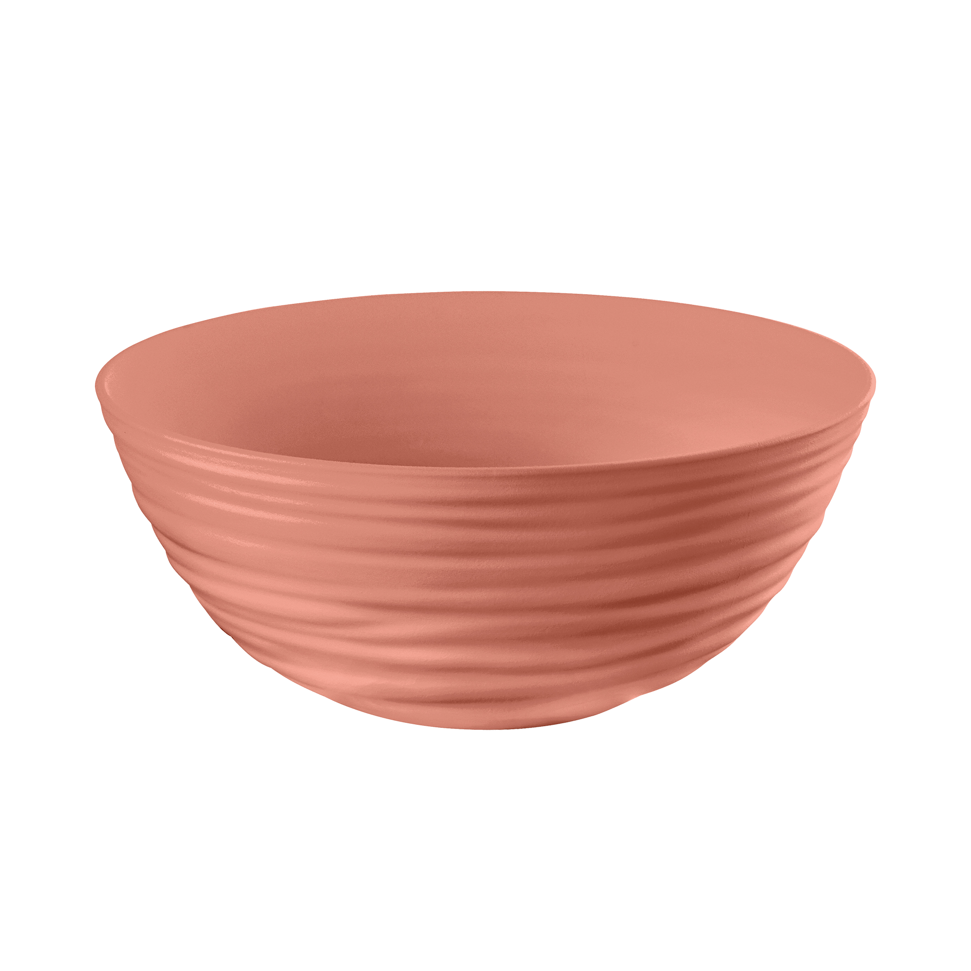 Schüssel Tierra 1
