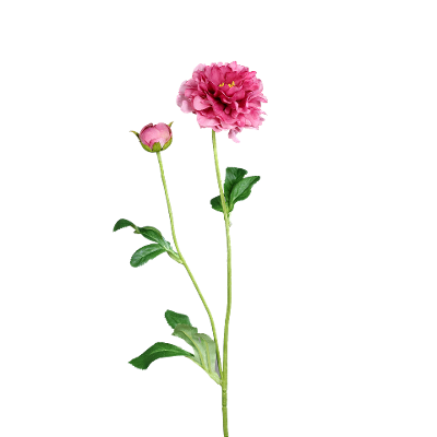 Kunstblume Ranunkel grün/pink