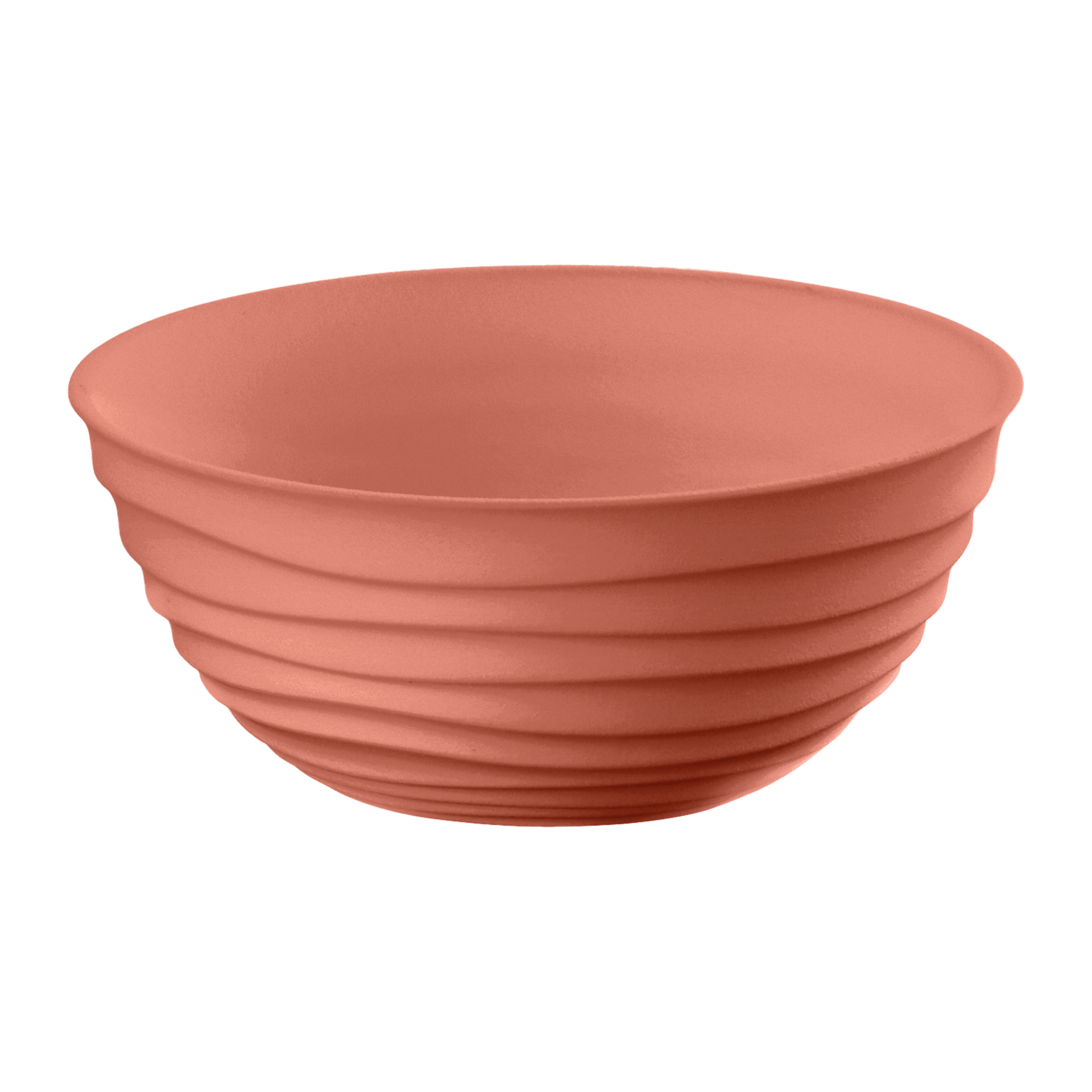 Schüssel Tierra 1