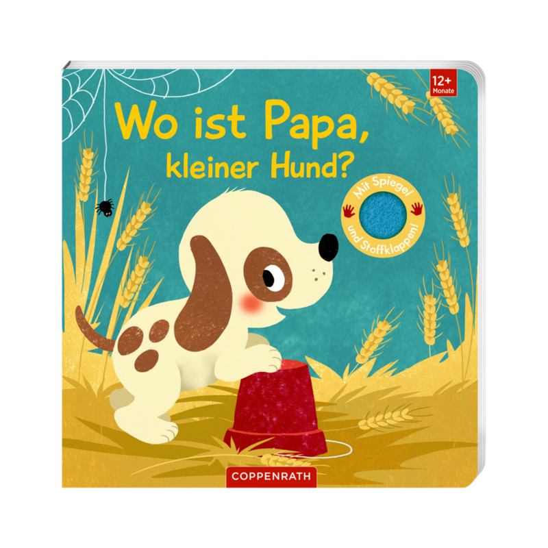 Buch Fühlen und die Welt begreifen Mehrfarbig