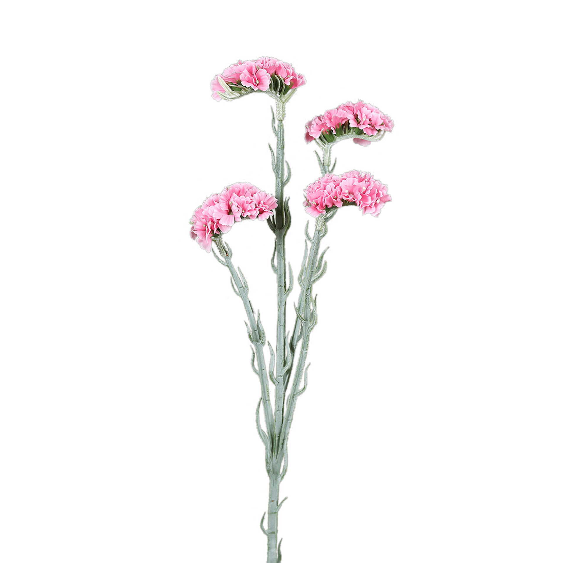 Kunstblume Statice Rosee