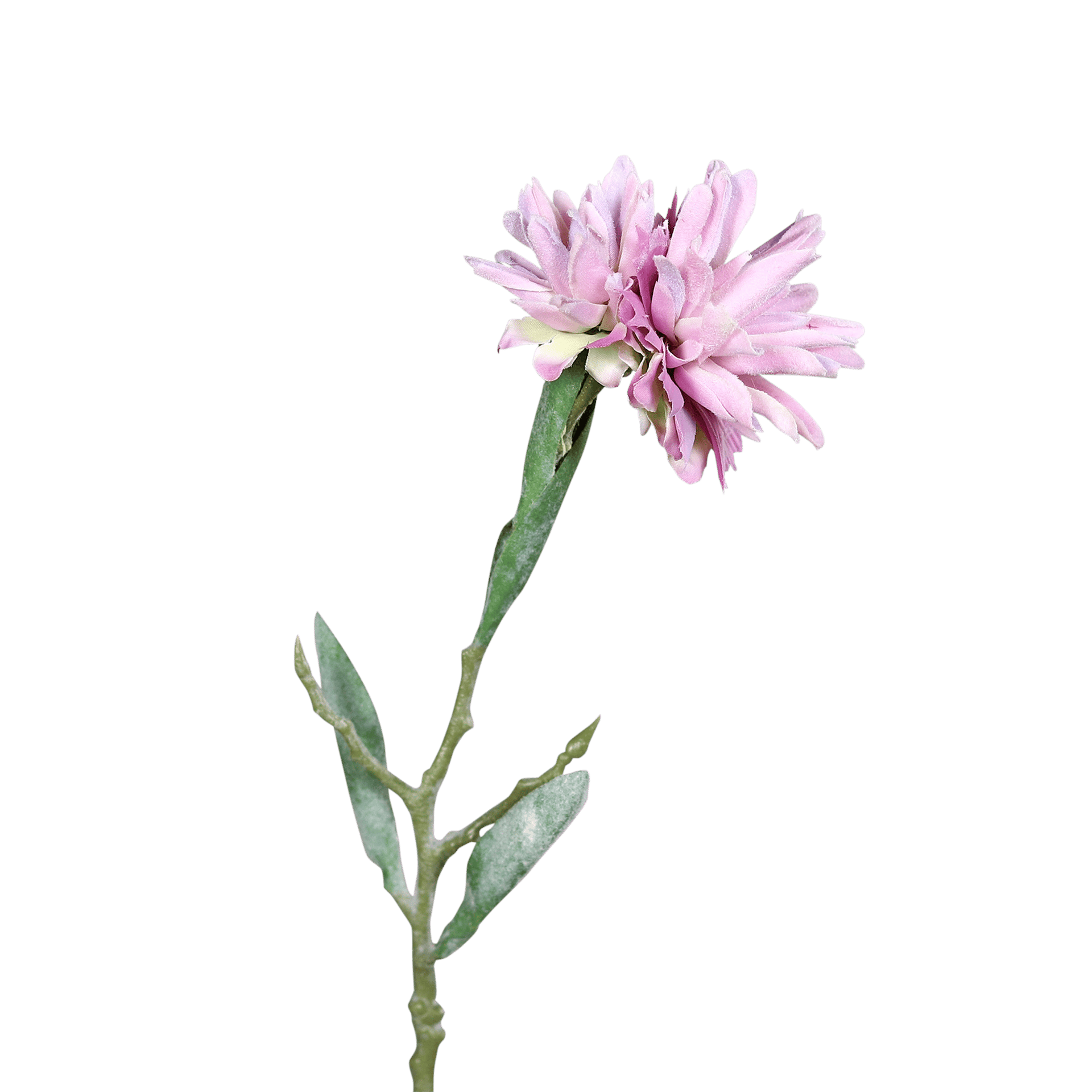 Kunstblume Leucospermum Lavender