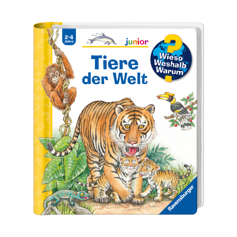 Buch WWW junio: Tiere der Welt Mehrfarbig