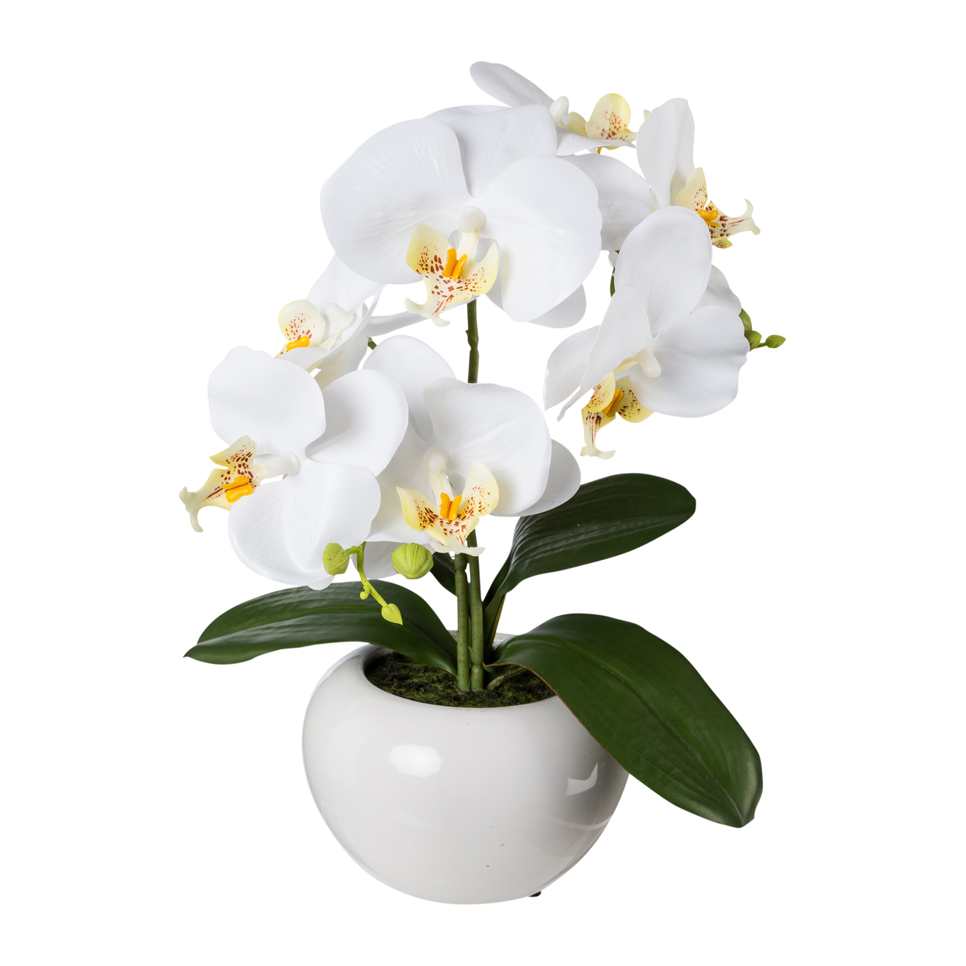 Kunstblume Phalaenopsis Weiß Kunstblume Phalaenopsis Weiß