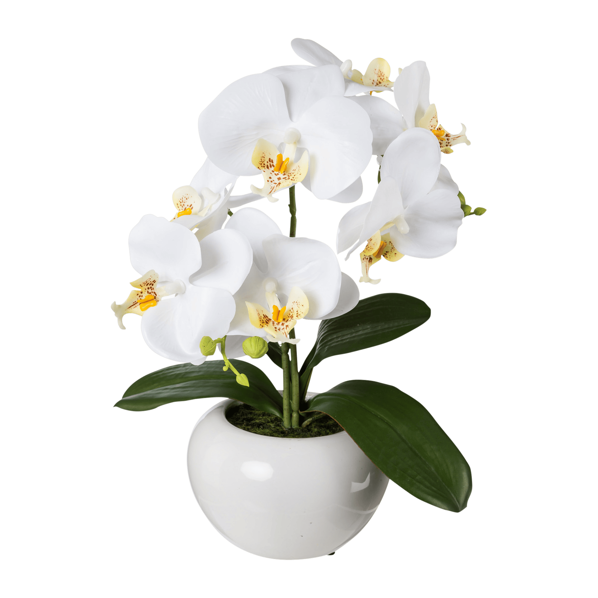 Kunstblume Phalaenopsis Weiß Kunstblume Phalaenopsis Weiß