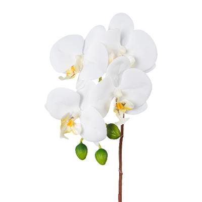 Kunstpflanze Phalaenopsis Weiß Kunstpflanze Phalaenopsis Weiß