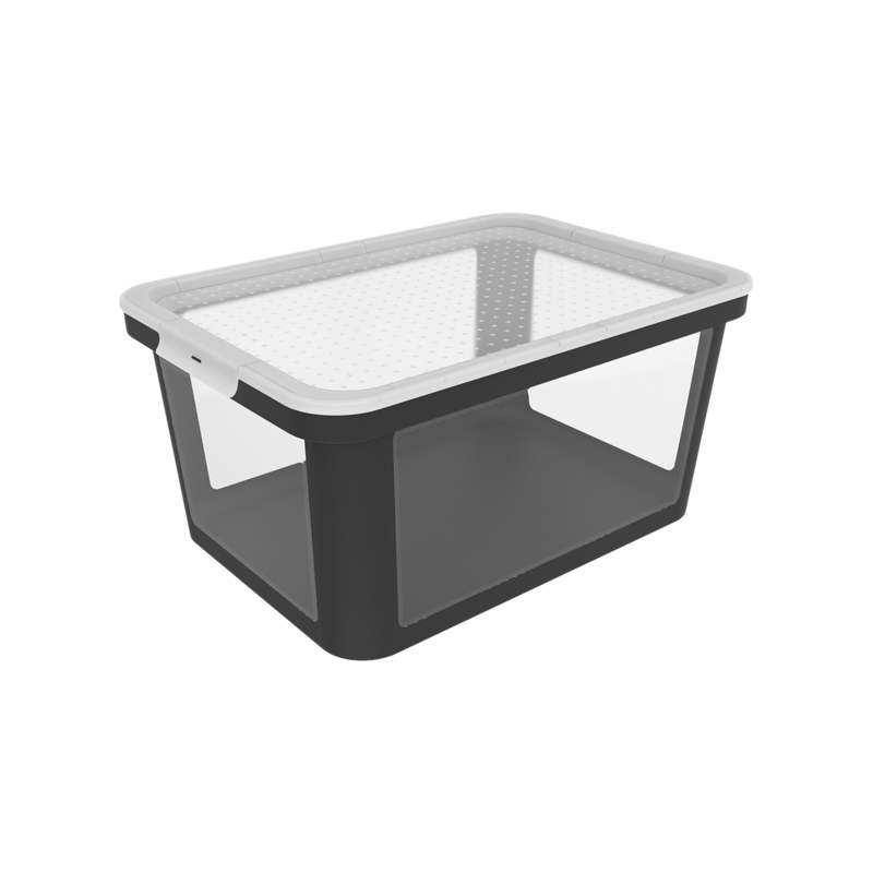 Rotho Box Albris