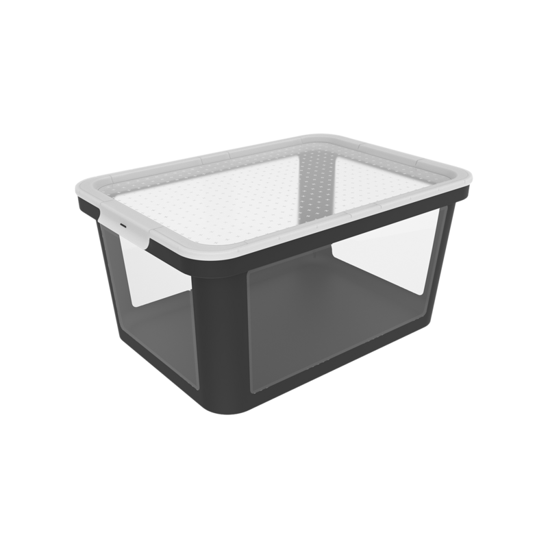 Rotho Box Albris