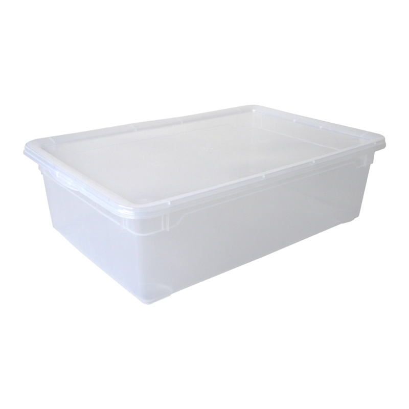 Rotho Box Clear Boots