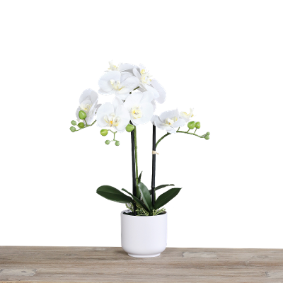 Kunstblume Orchidee Cream