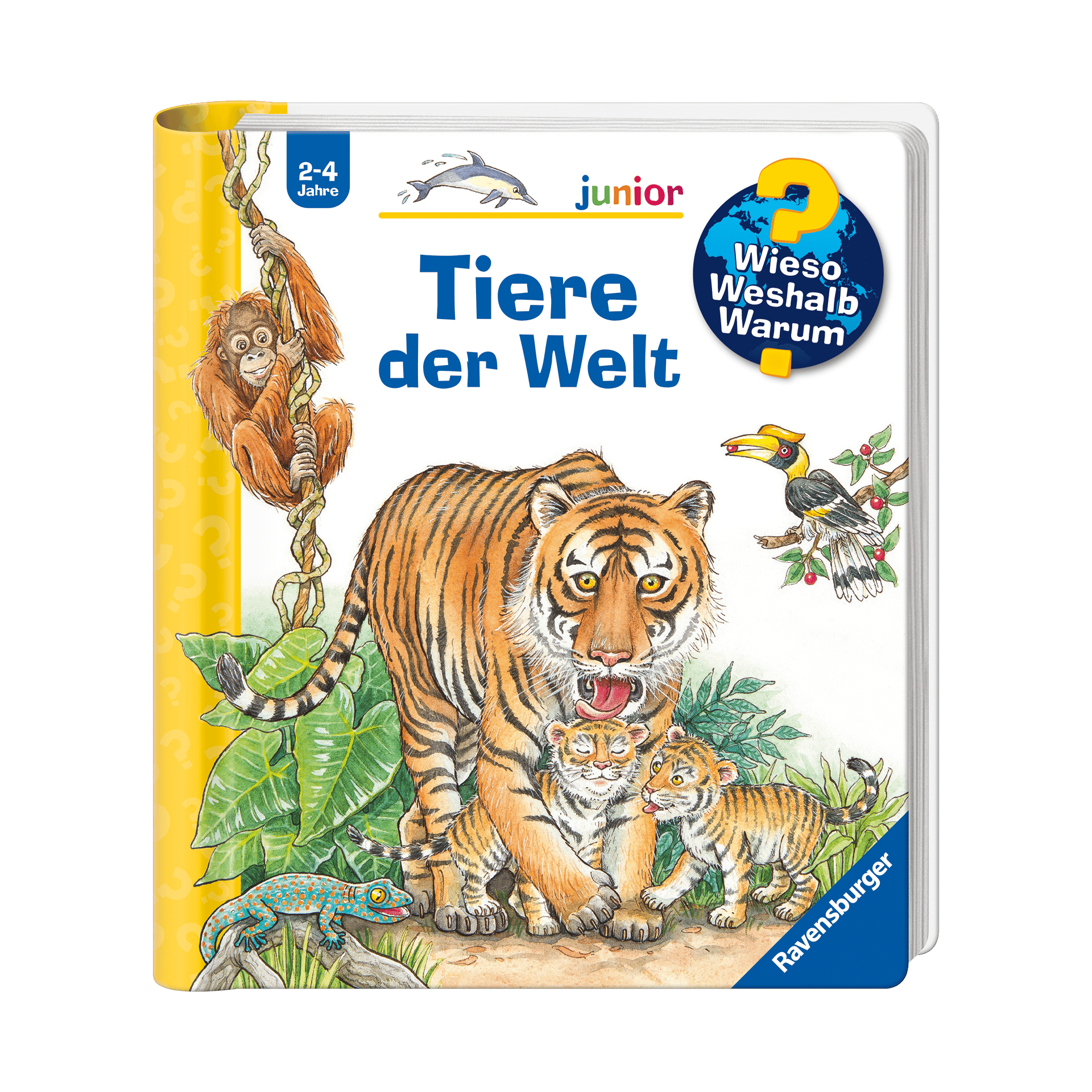 Buch WWW junio: Tiere der Welt Mehrfarbig