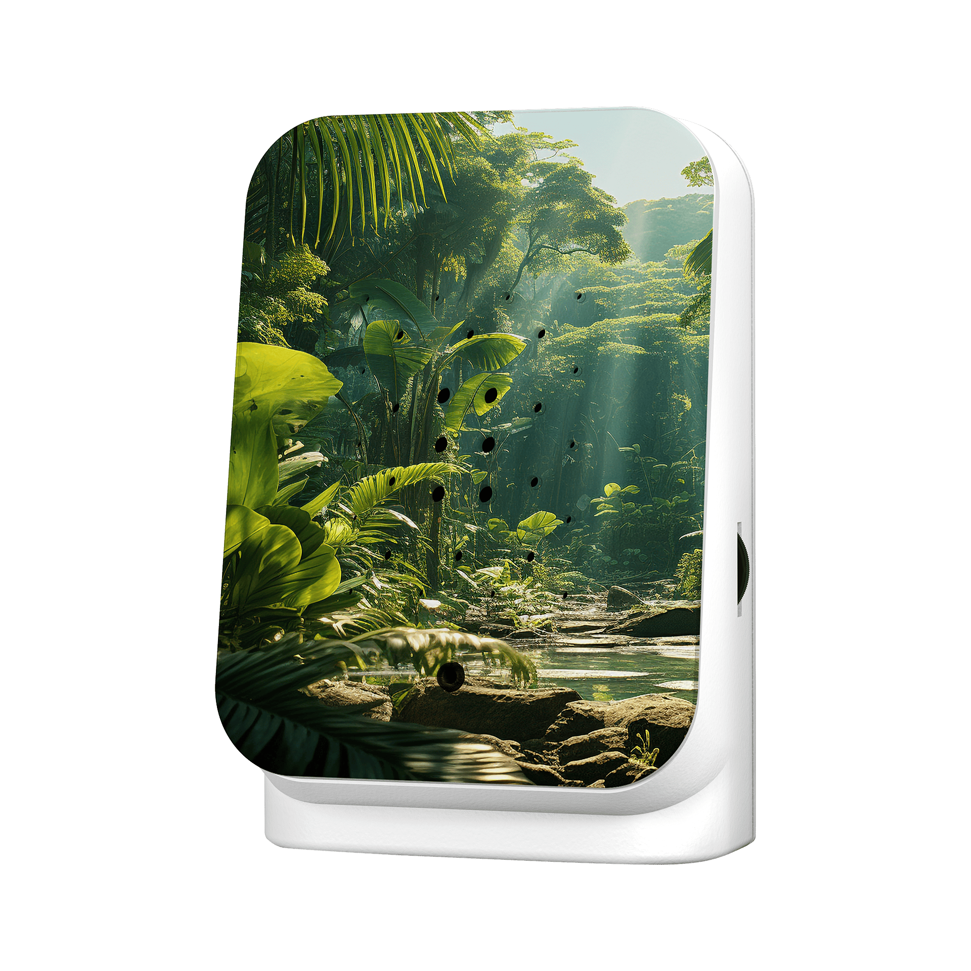 Dekoaufsteller Junglebox Maliau