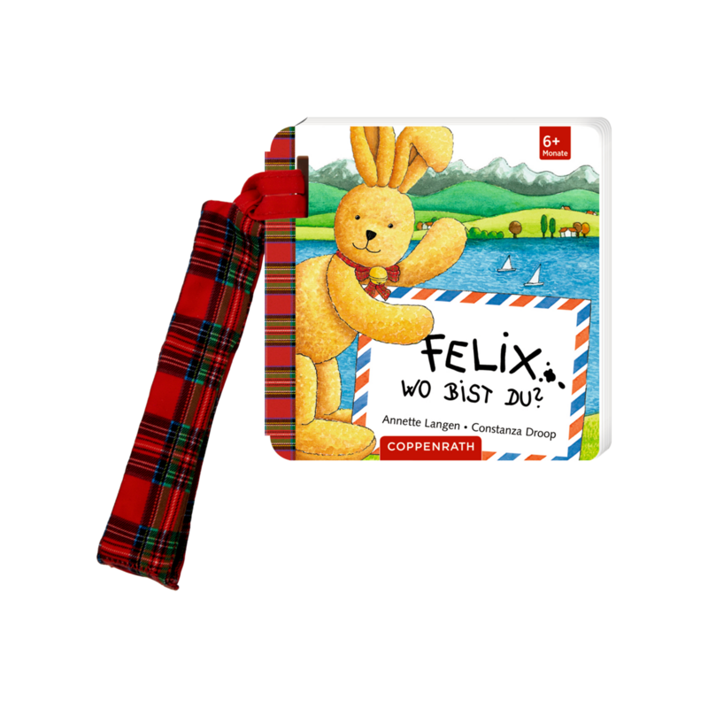 Buch Buggybuch: Felix, wo bist du? Mehrfarbig