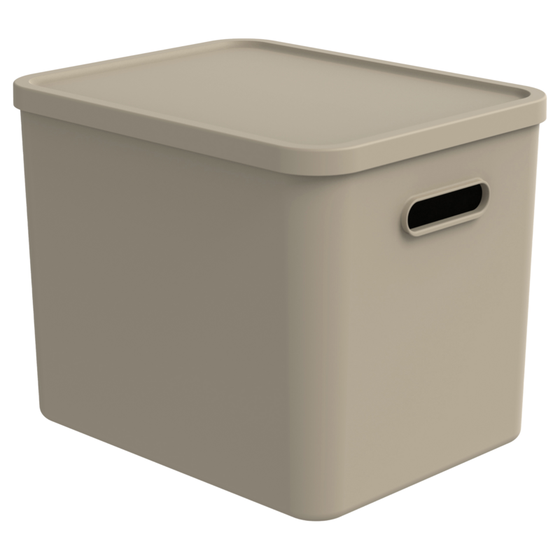 Rotho Box Albula