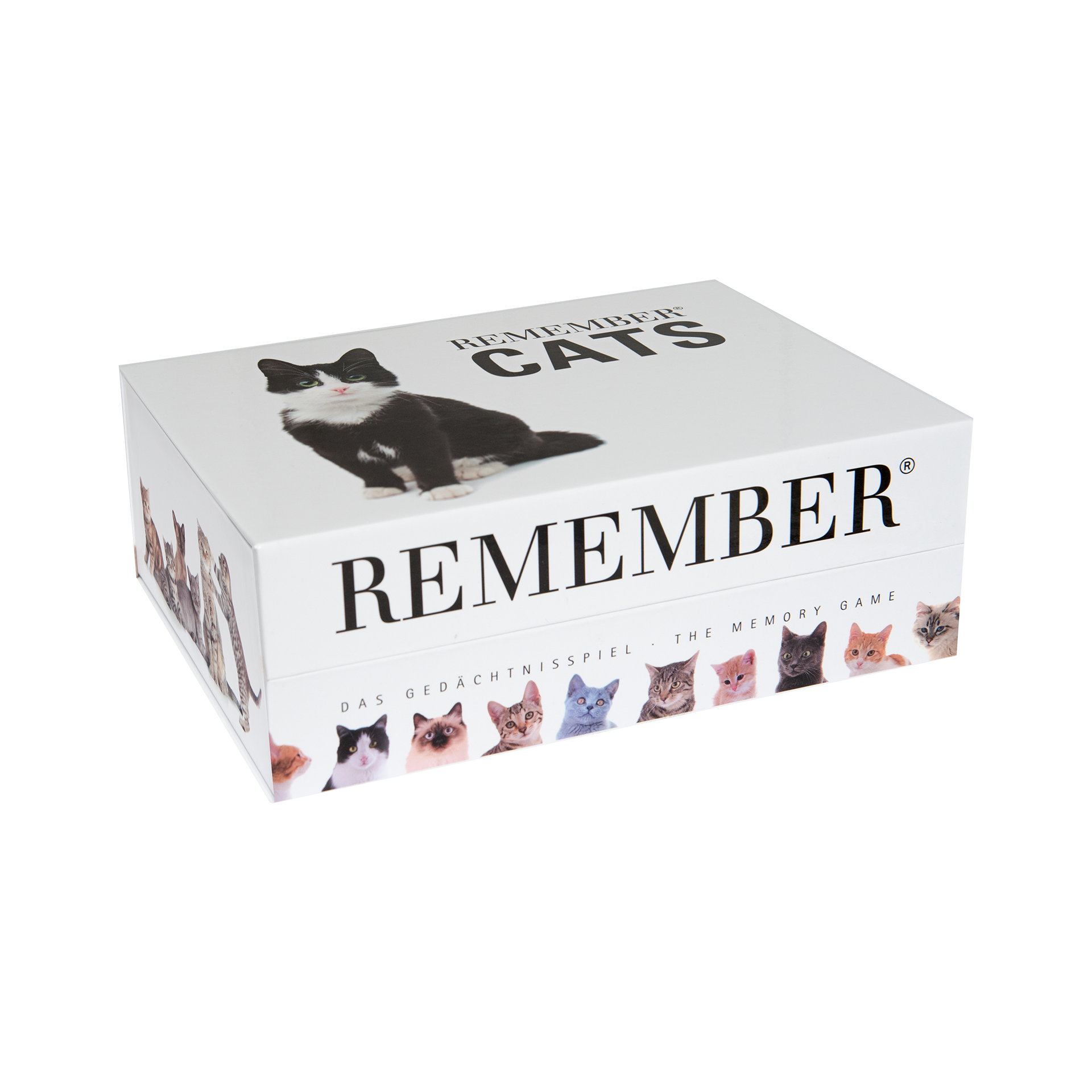 Spiel Cats Mehrfarbig