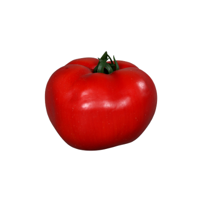 Dekofigur Tomtoe Rot