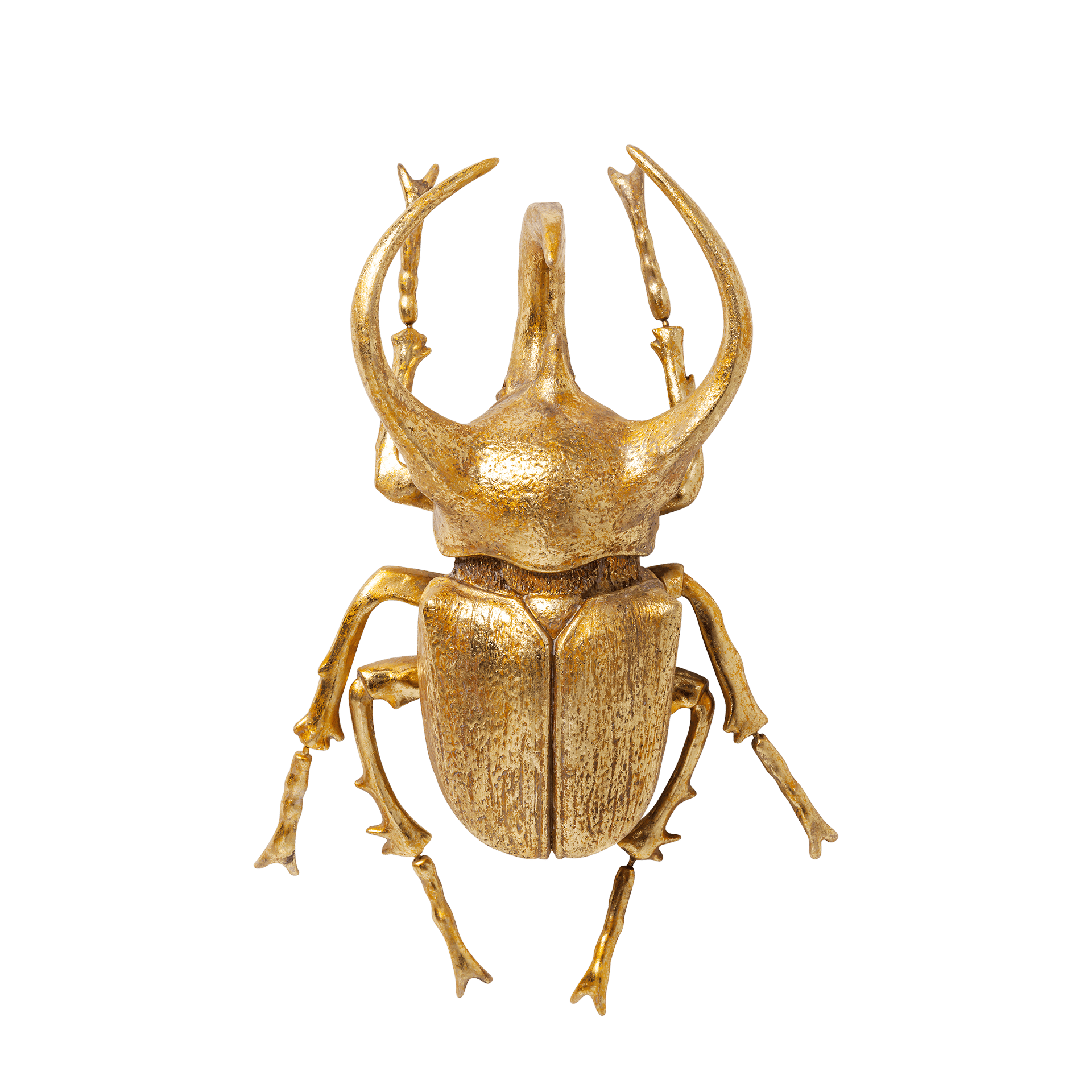 Kare Wanddeko Beetle Gold