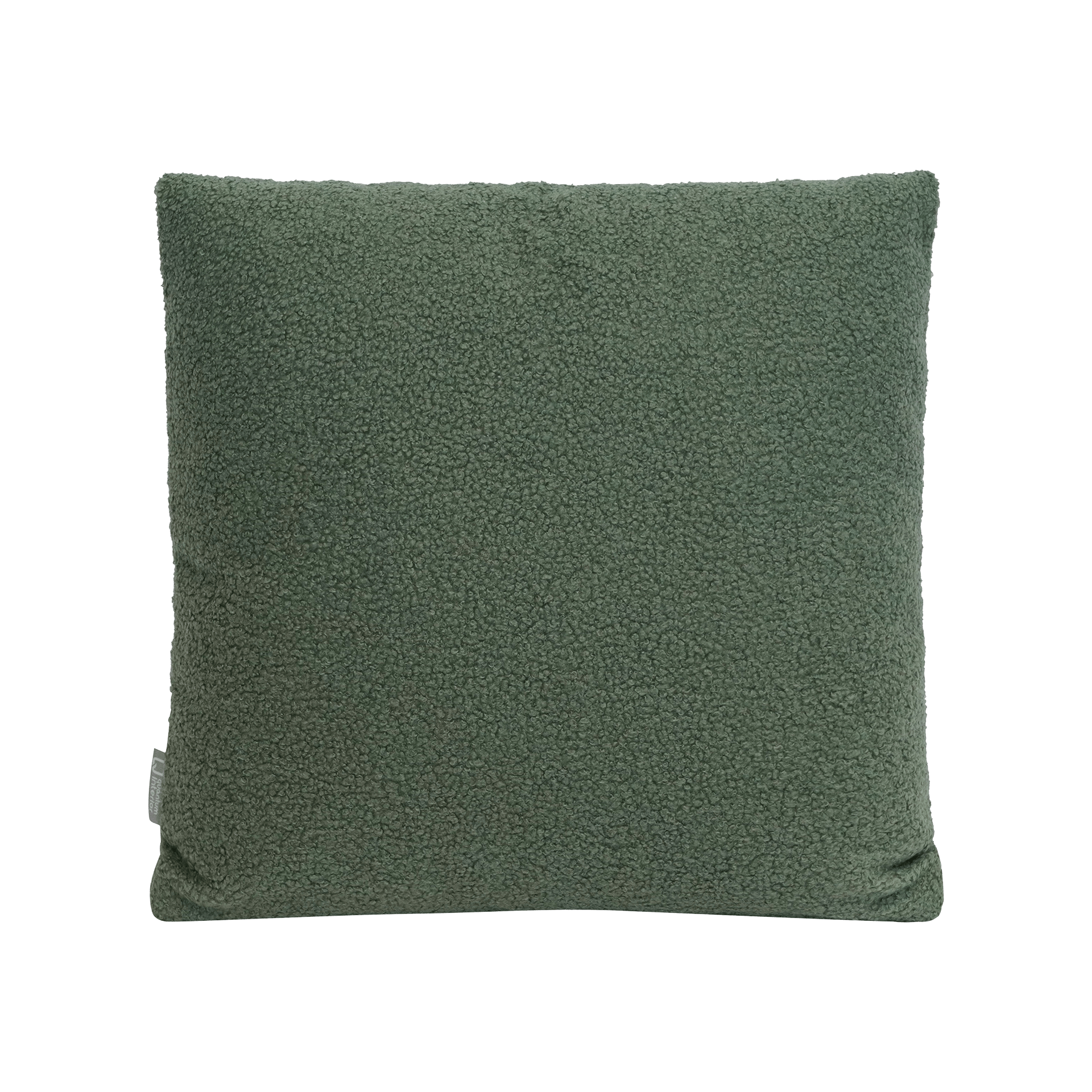 Kissen Larry Mint 50x50cm