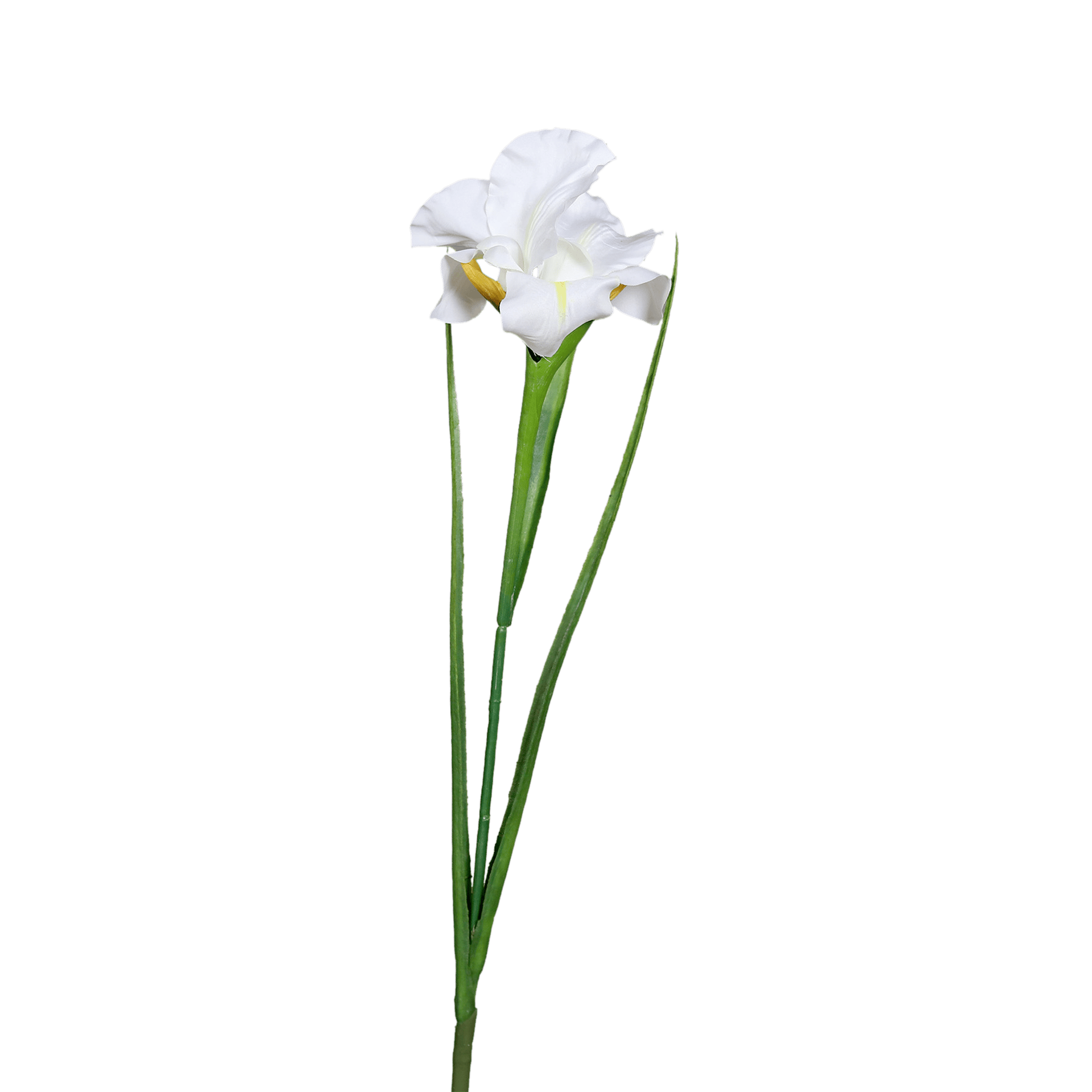 Kunstblume Iris Cream