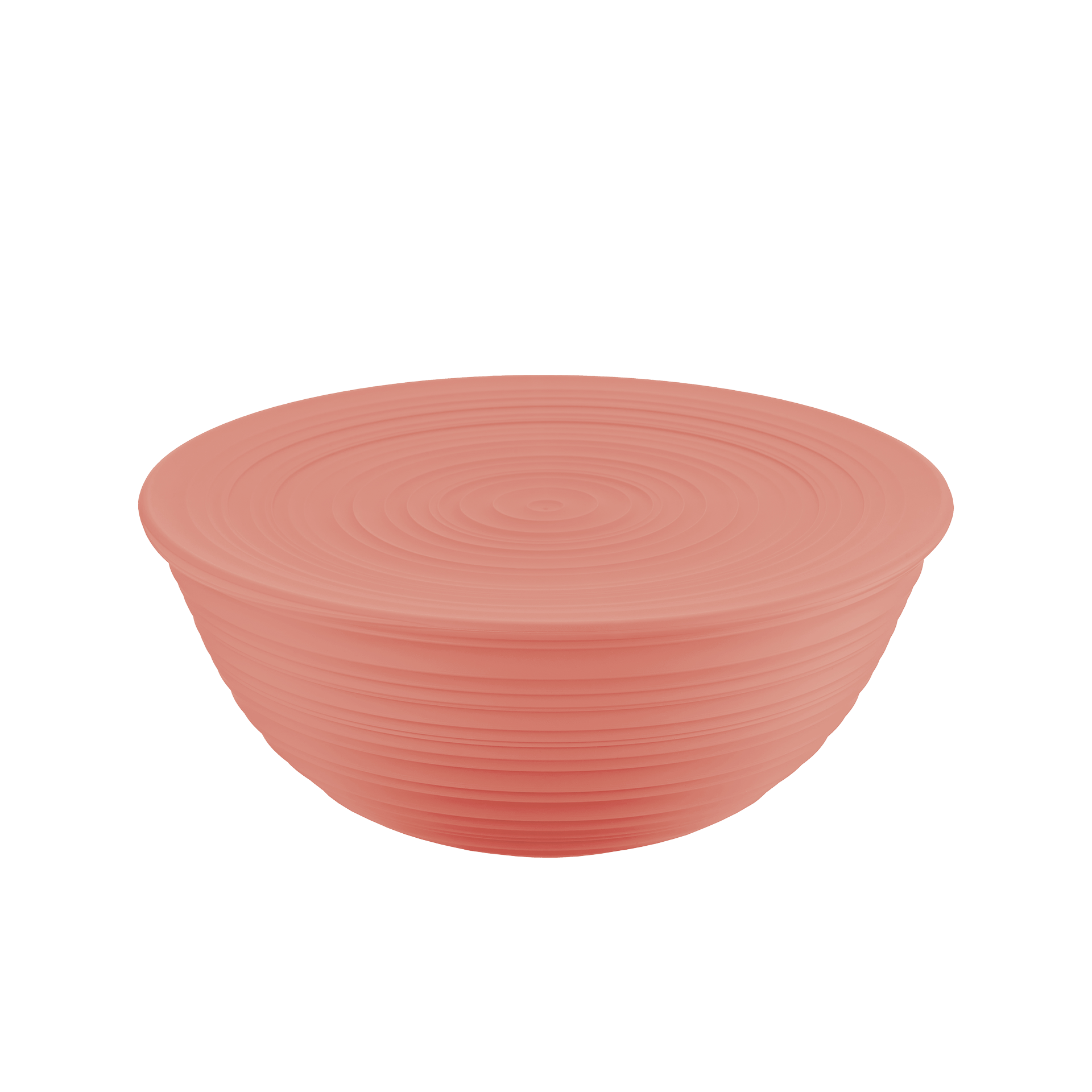 Schüssel Tierra 1