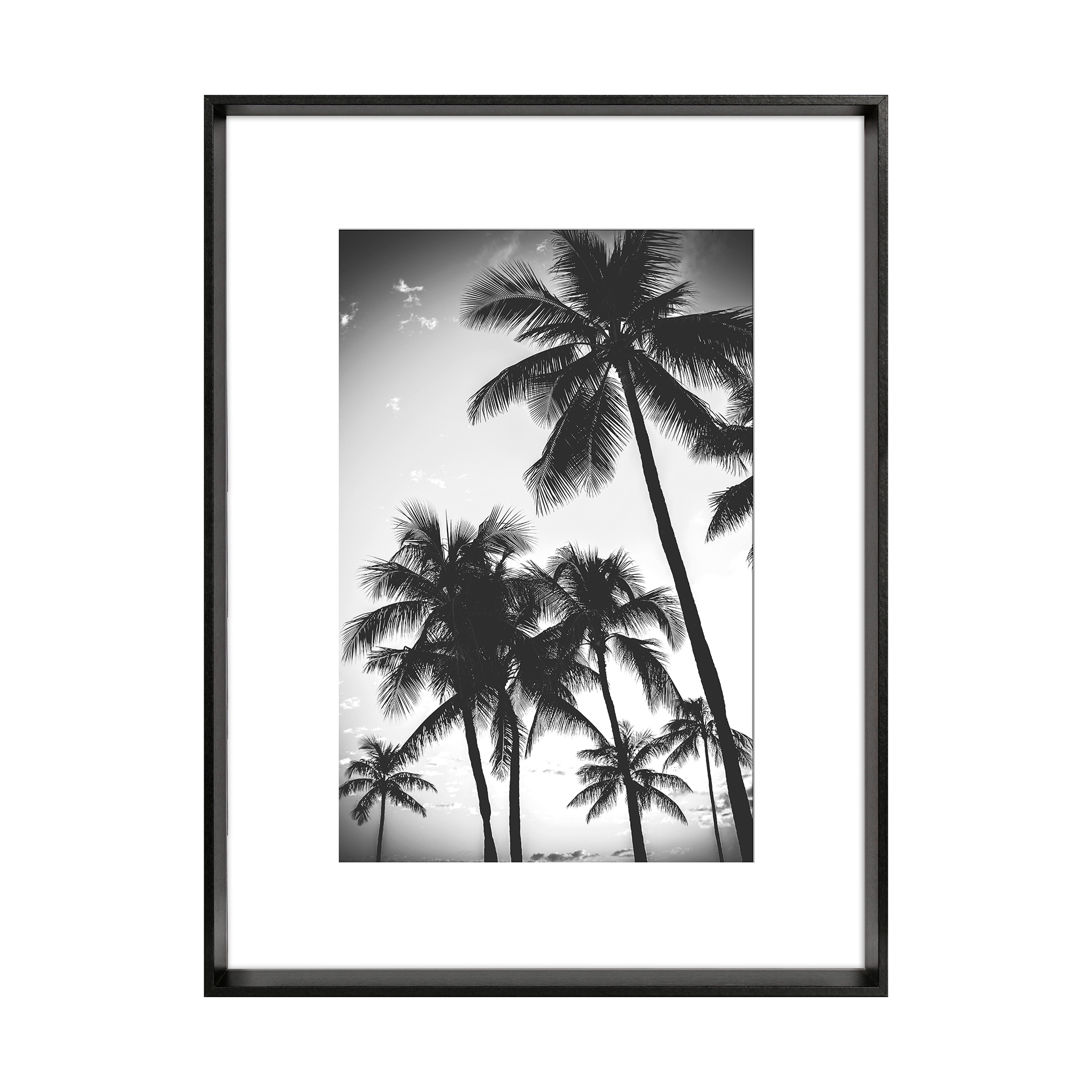 Bild Blanc Schwarz Bild Blanc Schwarz