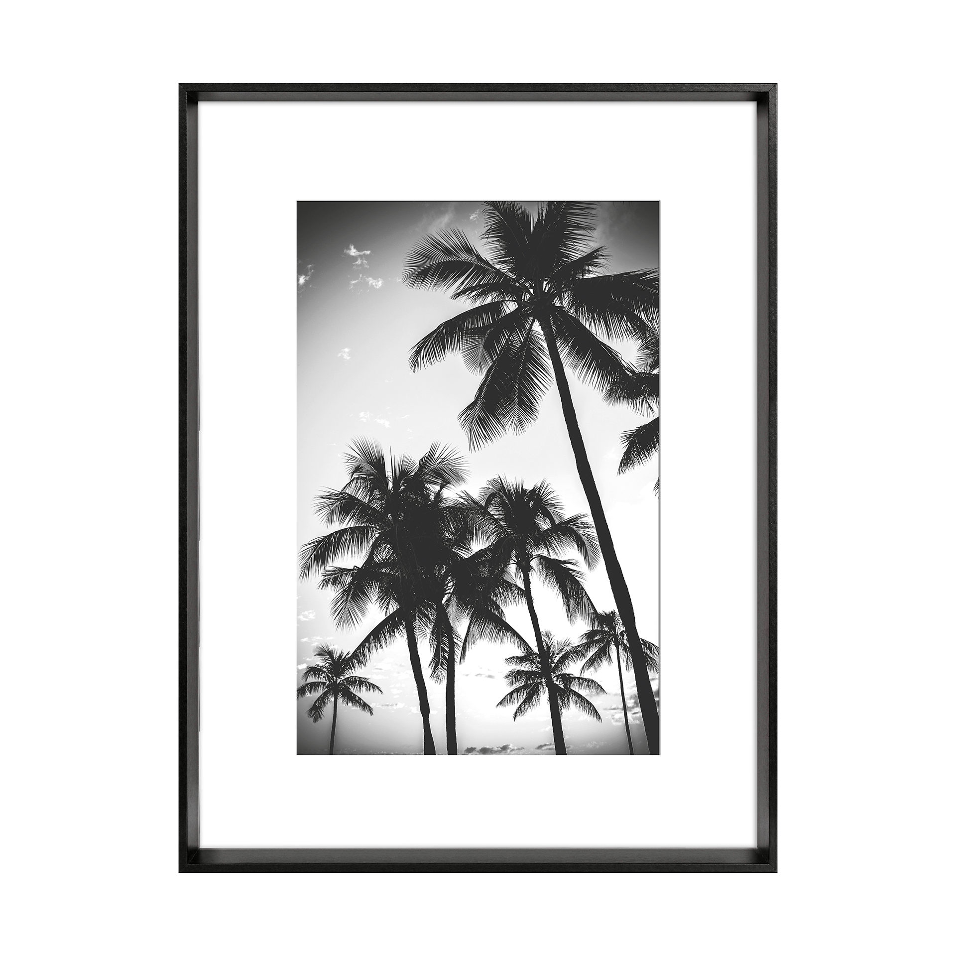 Bild Blanc Schwarz