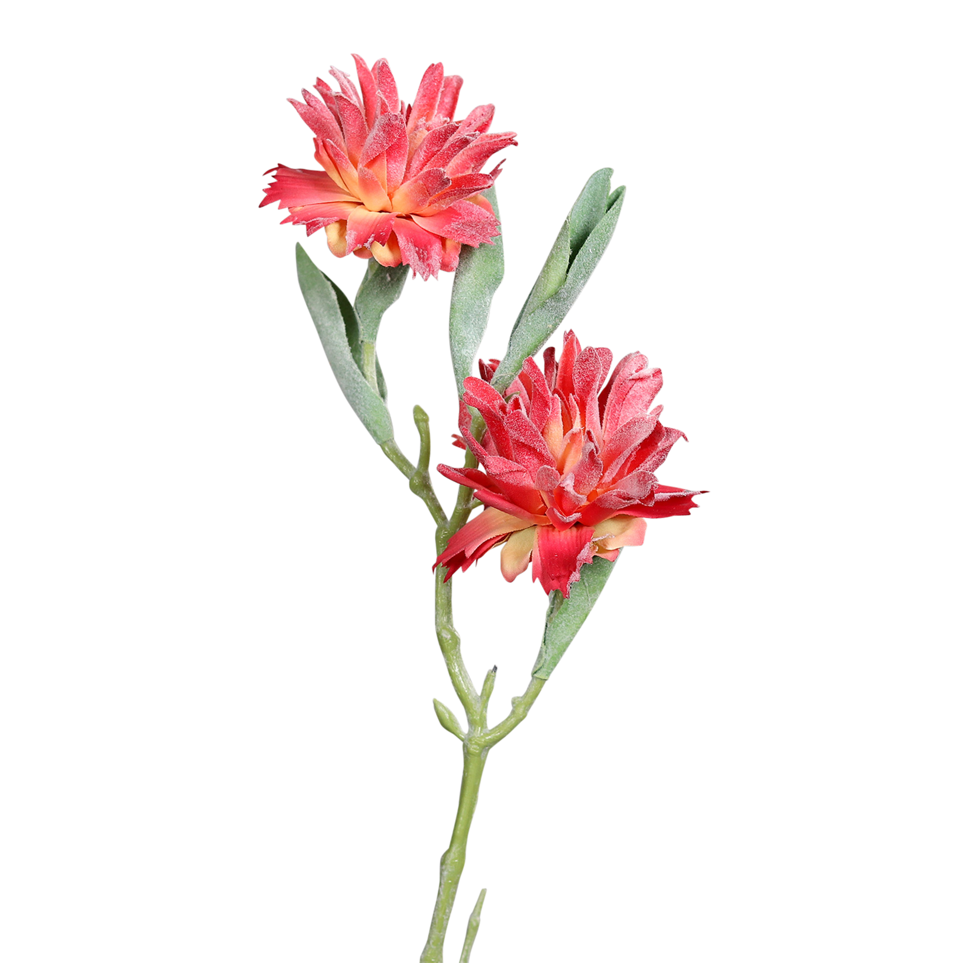 Kunstblume Leucospermum Red Kunstblume Leucospermum Red