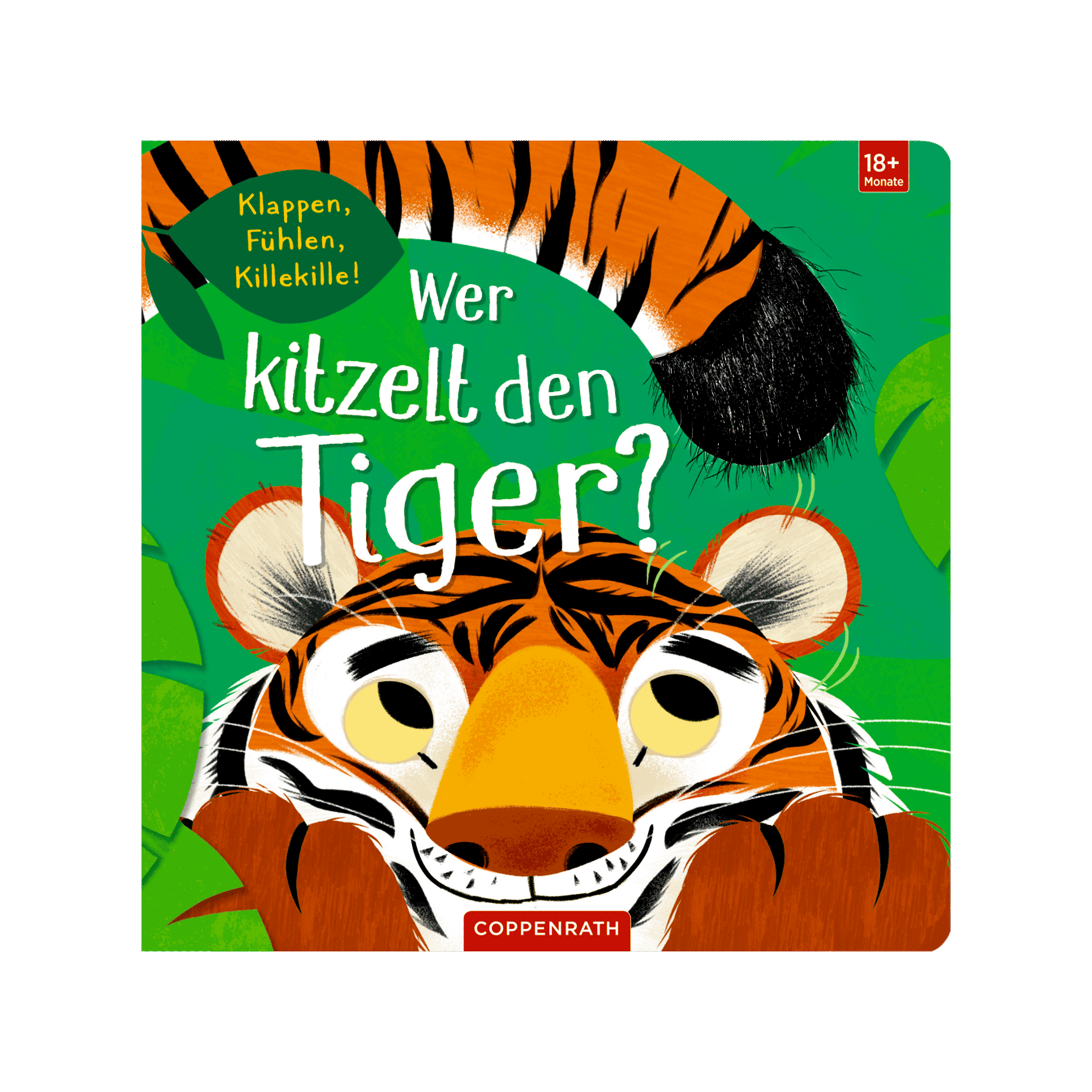 Buch Fühlen und die Welt begreifen Mehrfarbig