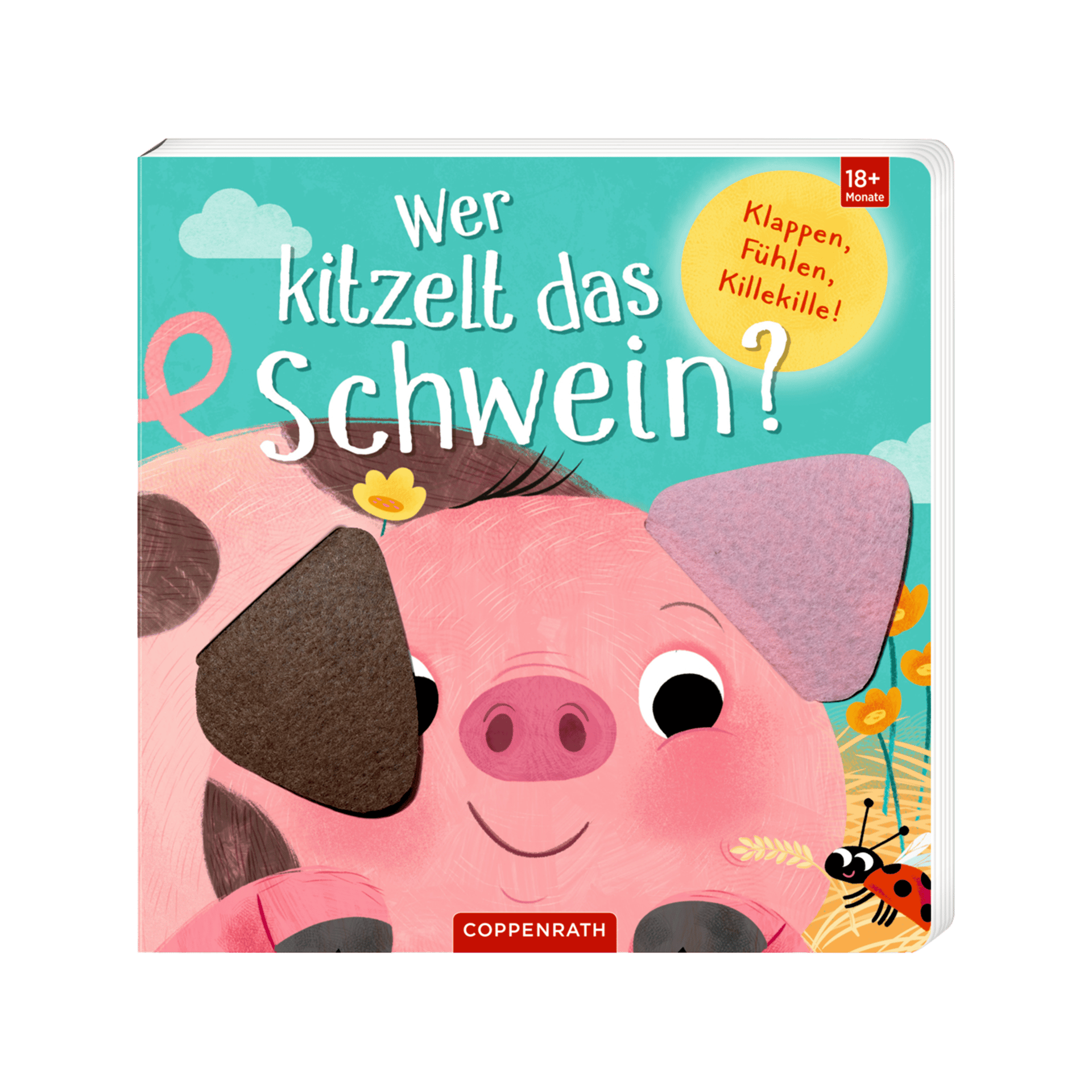 Buch Fühlen und die Welt begreifen Mehrfarbig