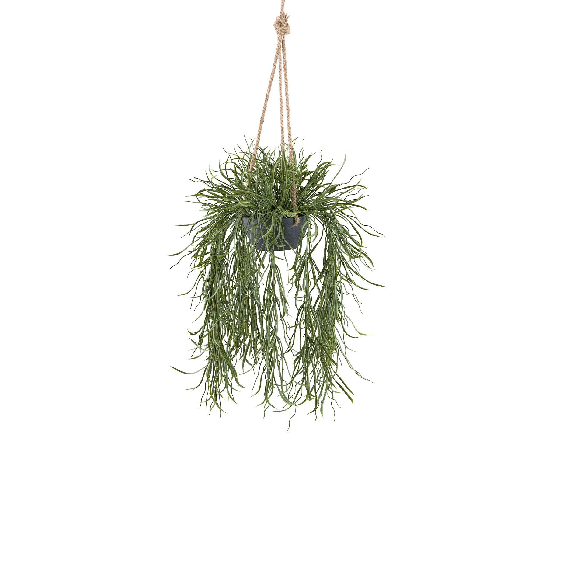 Kunstpflanze Rhipsalis Grau-Grün
