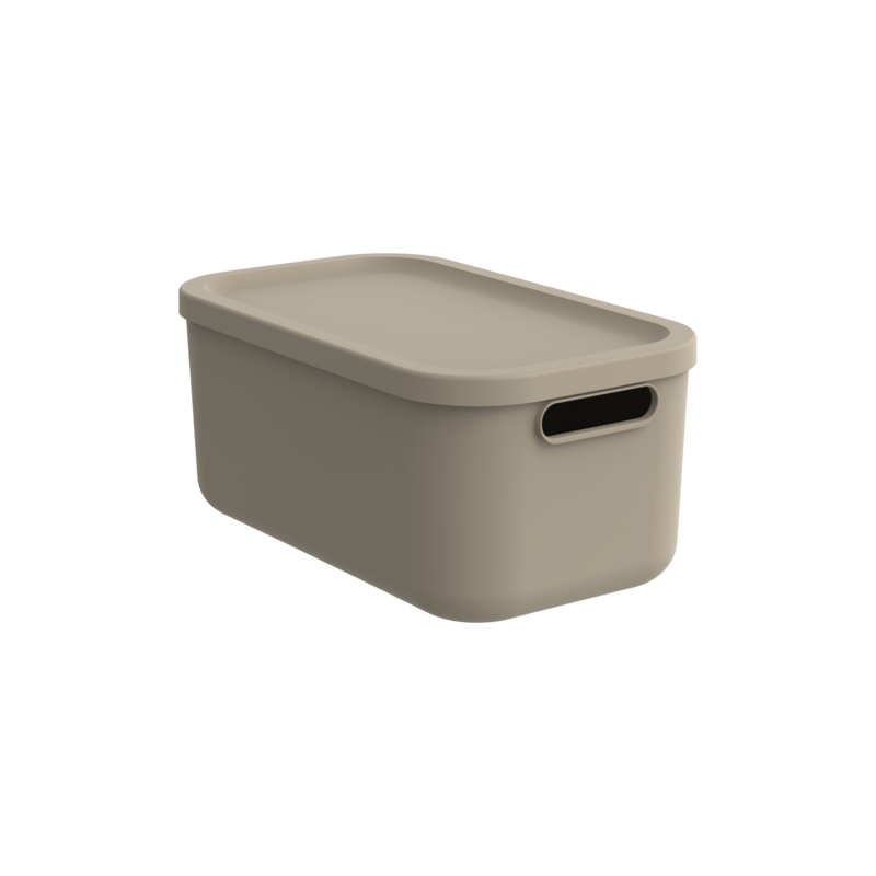 Rotho Box Albula