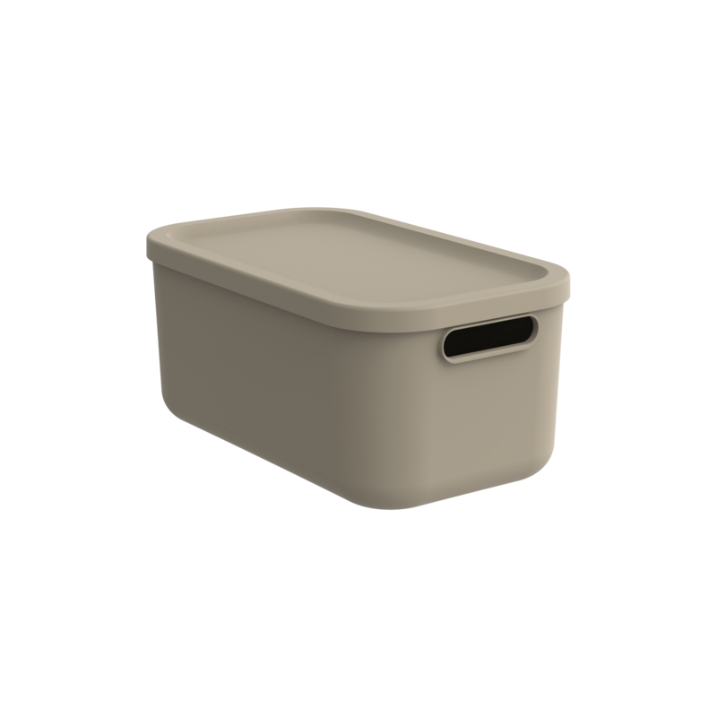 Rotho Box Albula