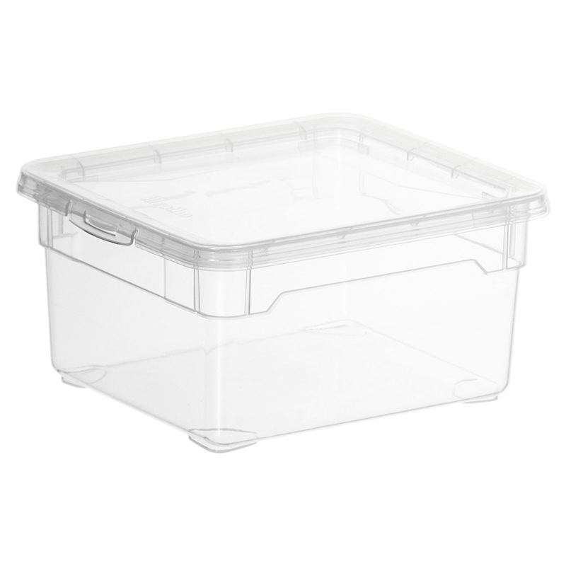 Rotho Box Clear Small