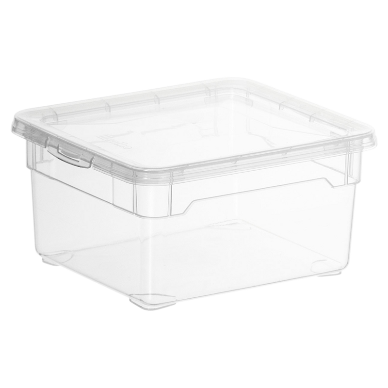 Rotho Box Clear Small