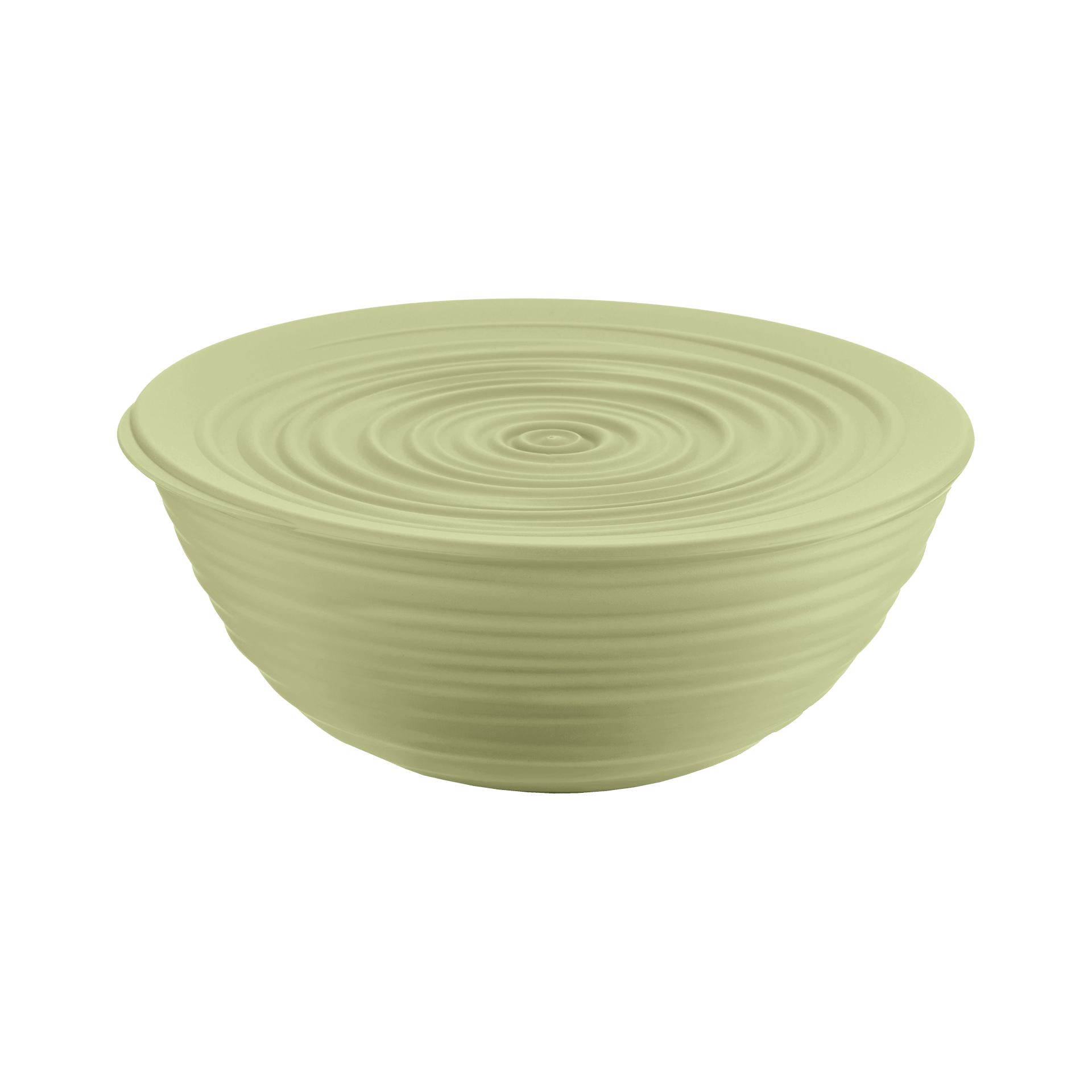 Schüssel Tierra 1