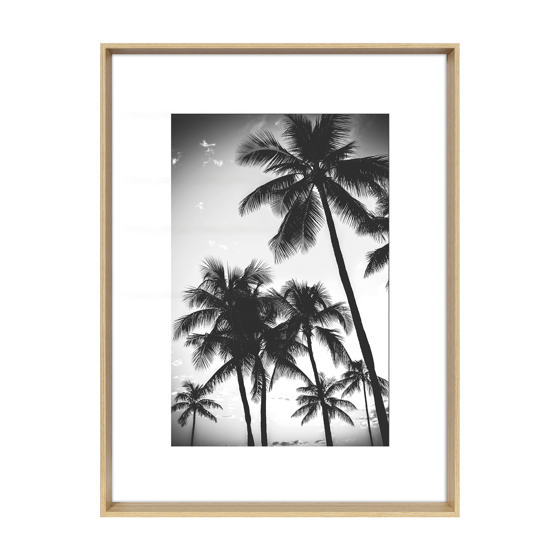 Bild Blanc Natur