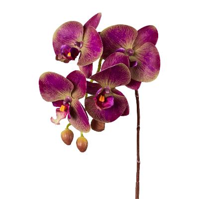 Kunstpflanze Phalaenopsis Violett