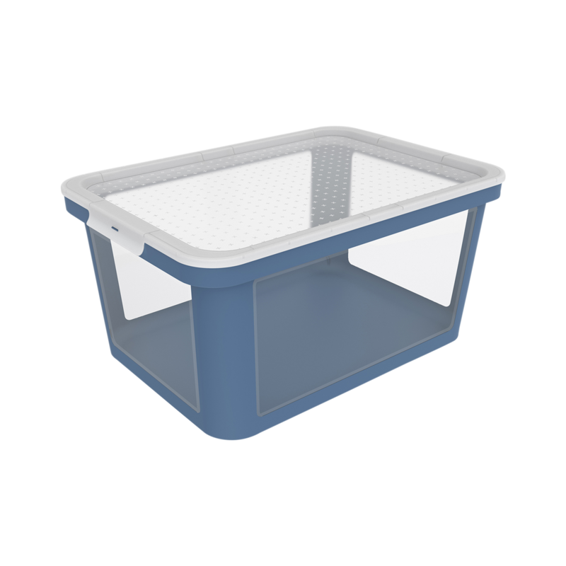 Rotho Box Albris