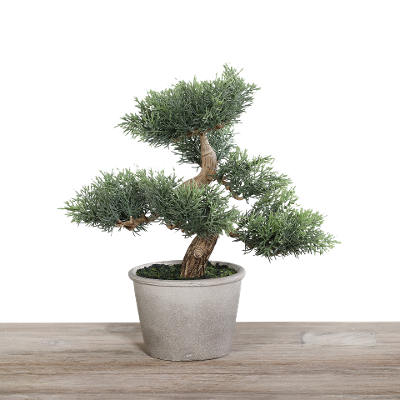 Kunstpflanze Bonsai grün