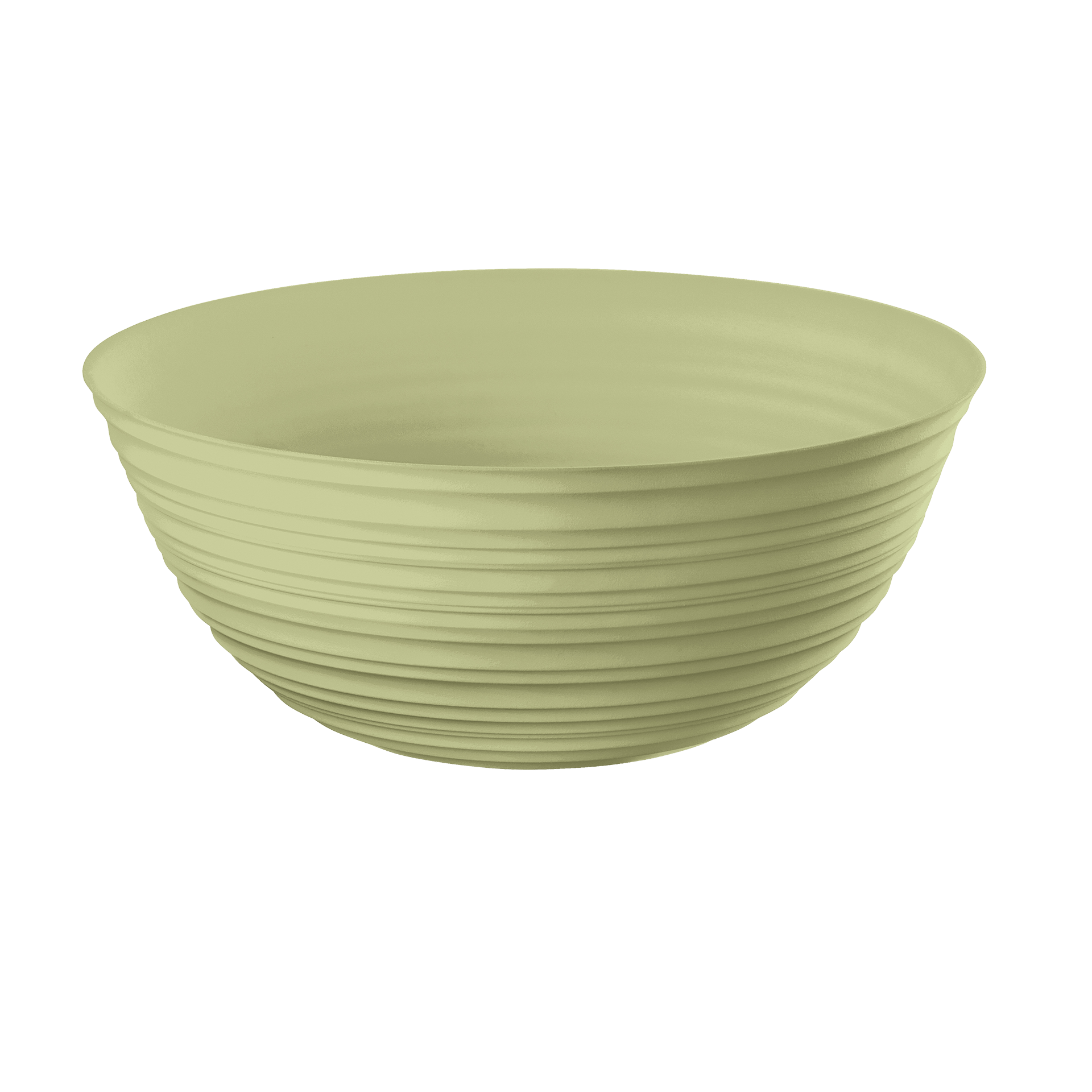 Schüssel Tierra 1