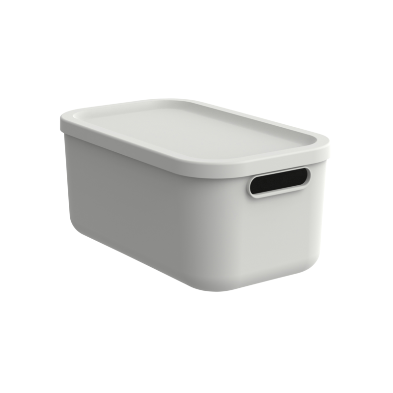 Rotho Box Albula