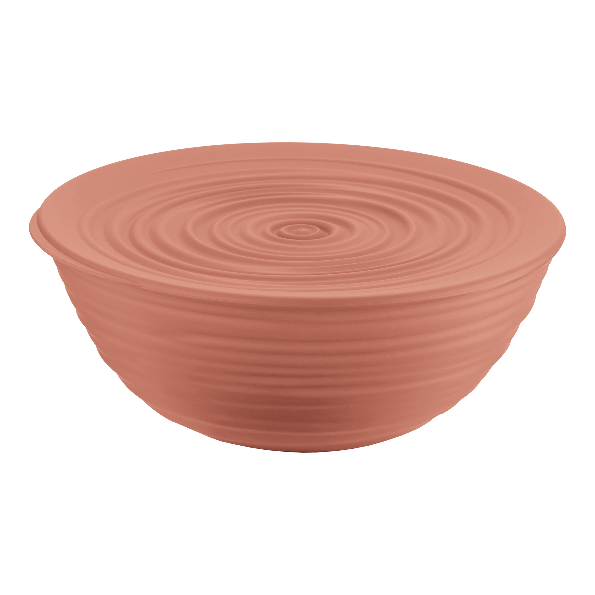 Schüssel Tierra 1