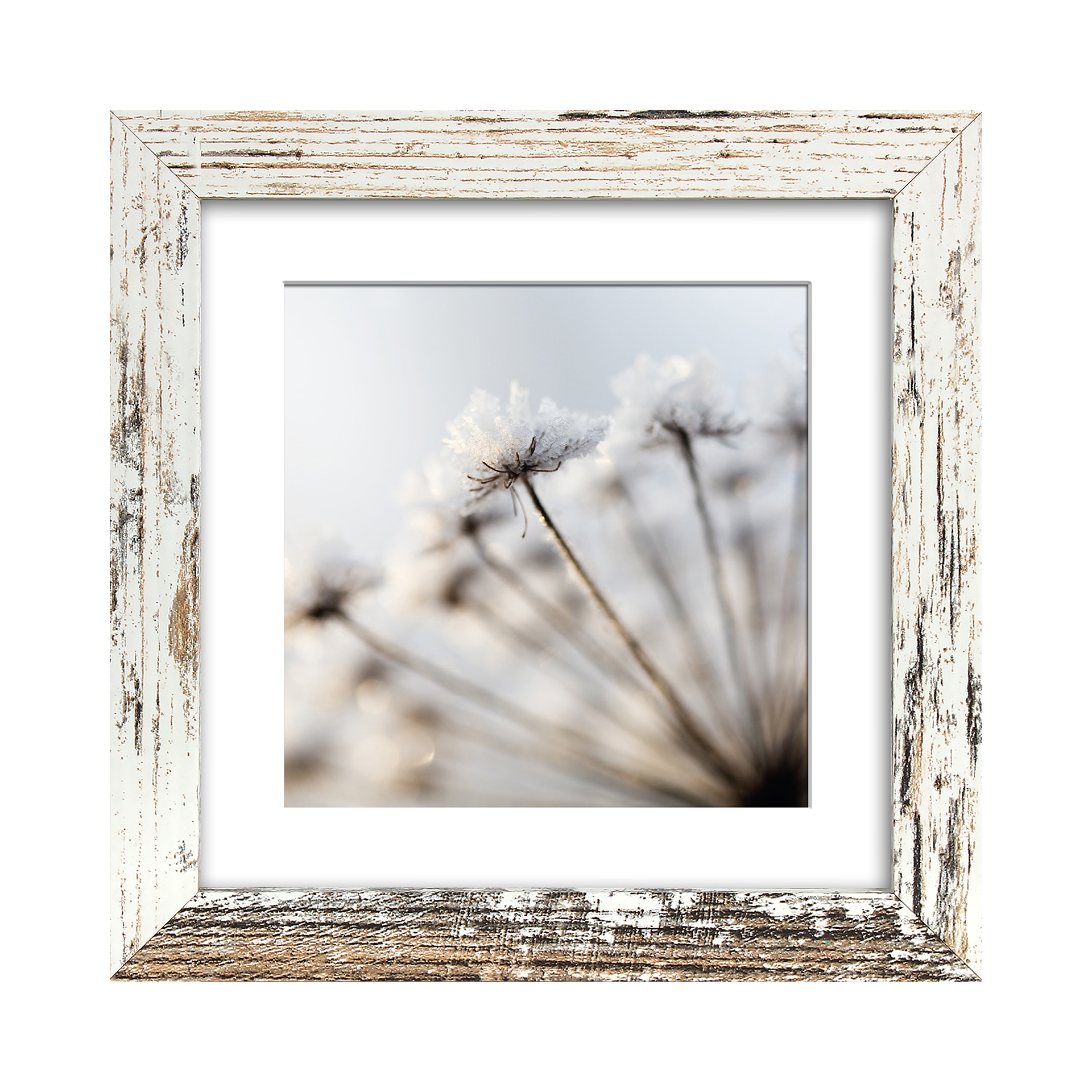 Bild The Frame Island Bild The Frame Island