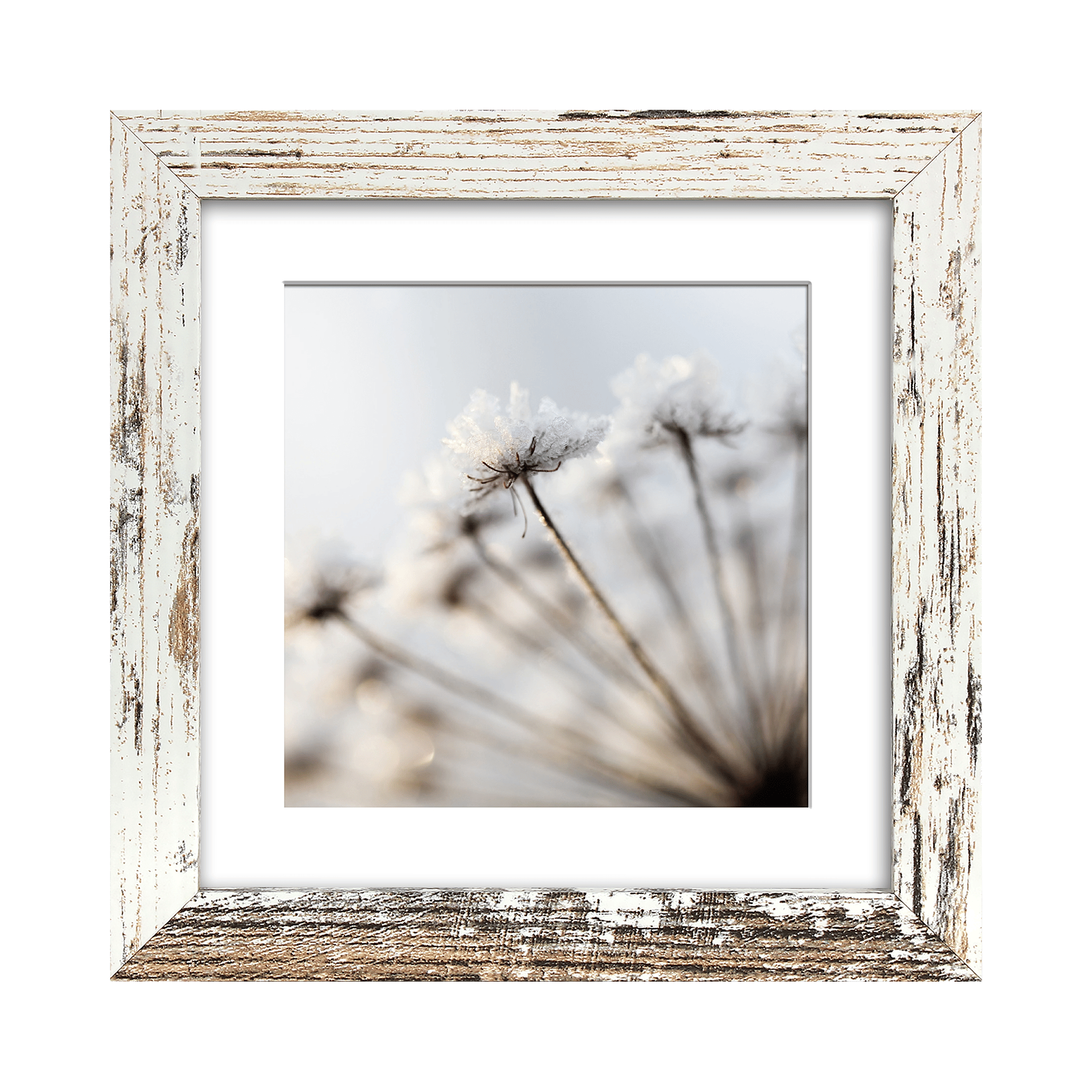 Bild The Frame Island Bild The Frame Island
