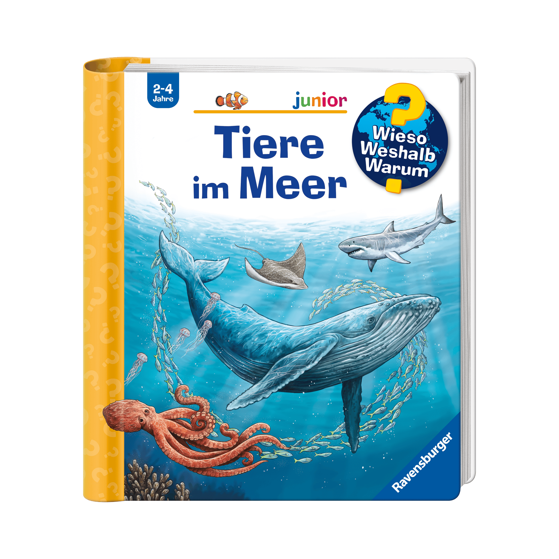 Buch WWW junior, Band 57: Tiere im Meer Mehrfarbig