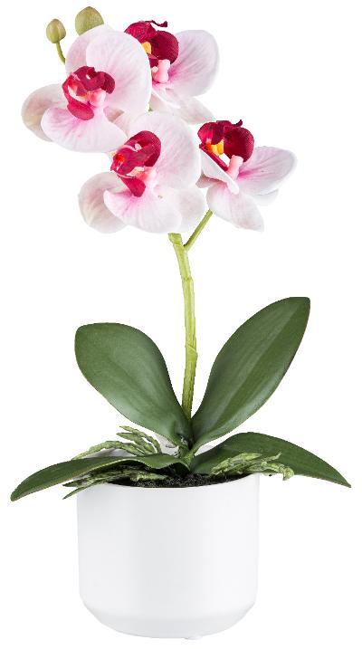 Kunstblume Phalaenopsis Pink